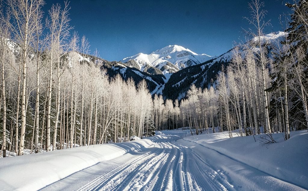 A groomed snow trail with fresh tracks through white aspen trees toward a snowy peak