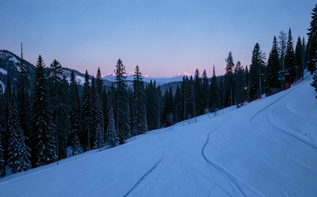 A skin track climbing the edge of a groomed ski run at dawn beside snowy spruce trees