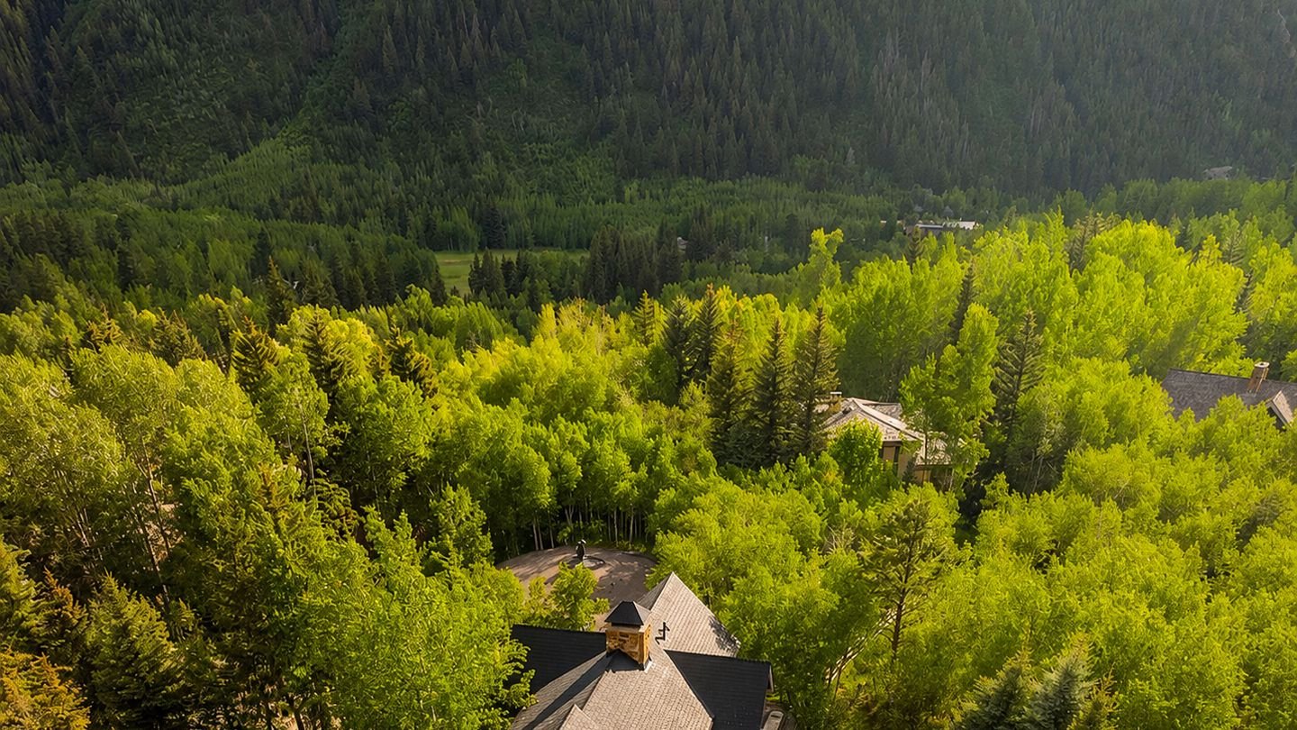 Aerial view of 190 W Lupine Drive, the house set among aspen and conifer with forested hillside behind