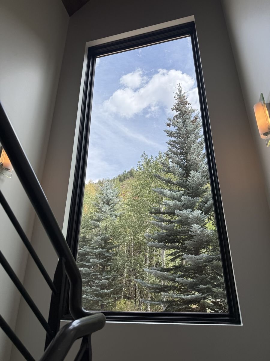 A tall angled window on the staircase, filled with conifers and the hillside beyond