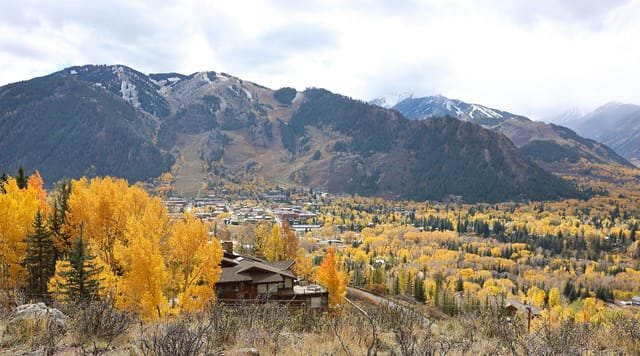 Aspen in autumn, golden aspens below the mountain