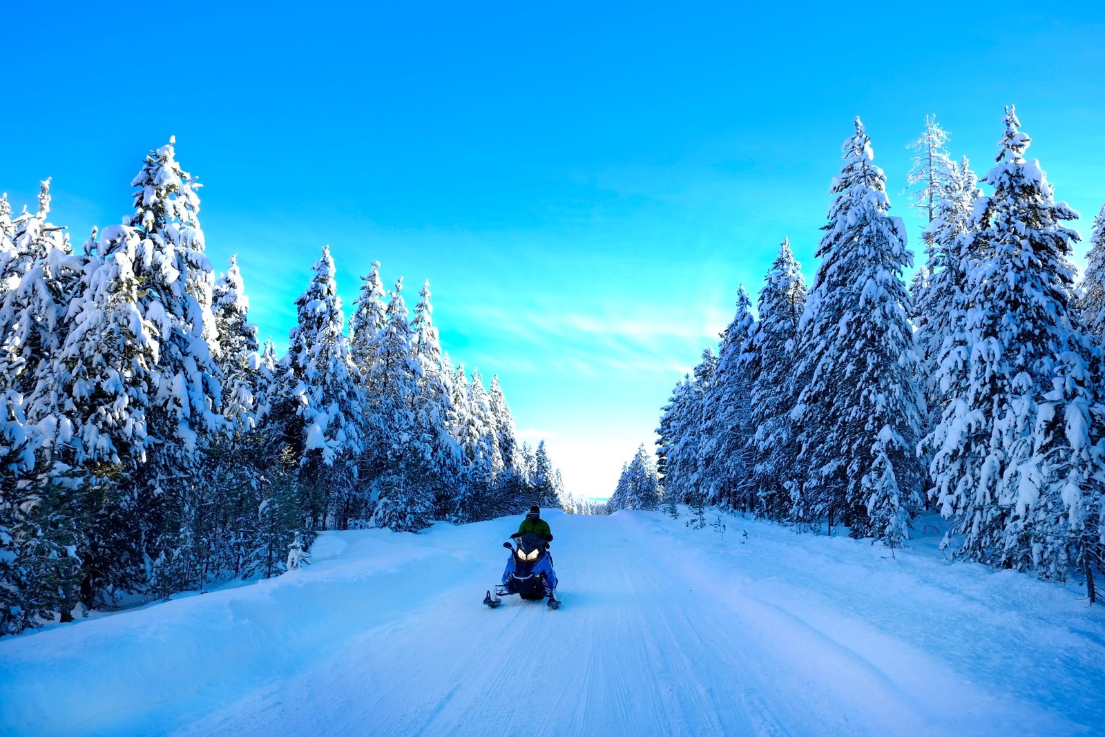 snowmobiling on snowy mountain road with snow covered pine trees